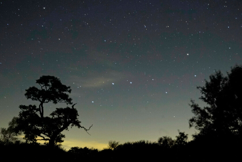 CONSTELLATION-URSA-MAJOR-GREAT-BEAR-THE-PLOUGH-9377