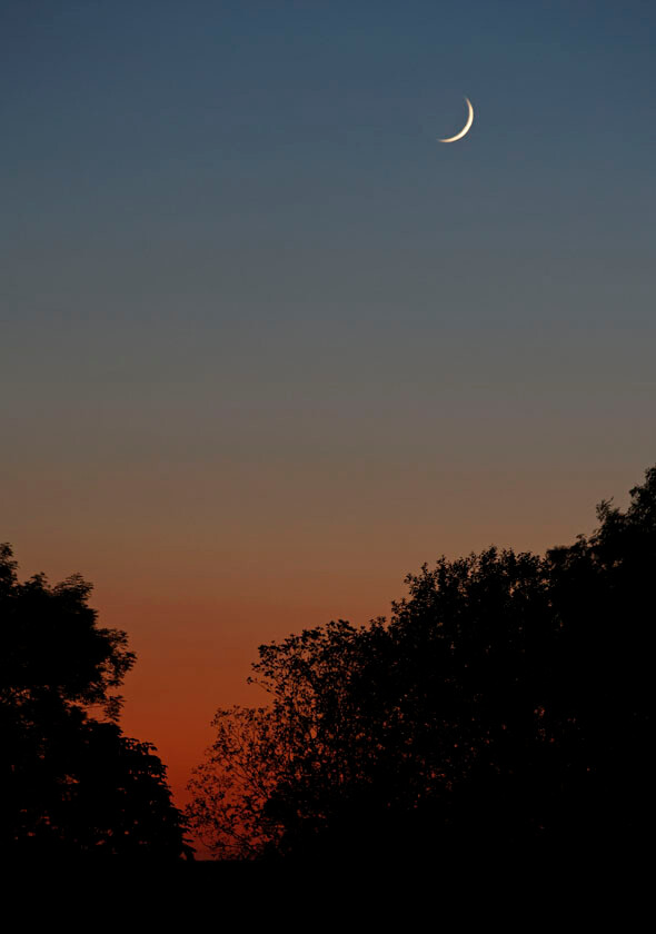 MOON CRESCENT O0A0769